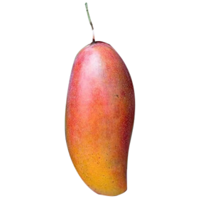 Red Ivory Mango