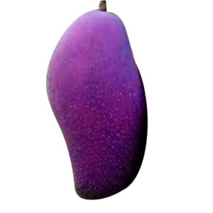 Purple Nam Dok Mai Mango